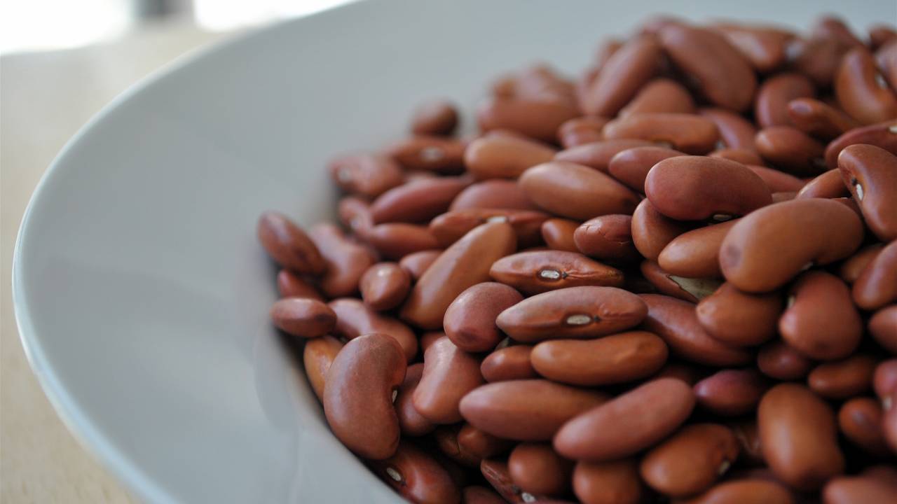 dried beans on plate